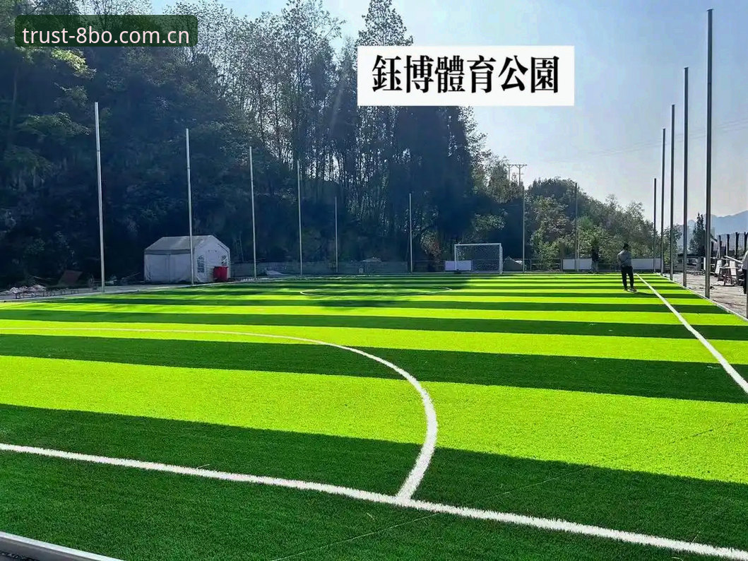 8博体育官网专业评测：功能详解与使用指南